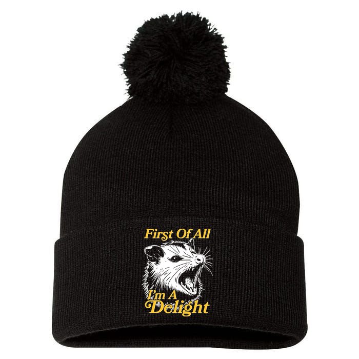 Funny Opossum First Of All Im A Delight Pom Pom 12in Knit Beanie