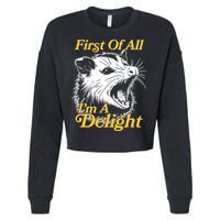 Funny Opossum First Of All Im A Delight Cropped Pullover Crew