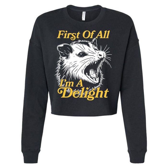 Funny Opossum First Of All Im A Delight Cropped Pullover Crew