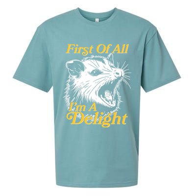 Funny Opossum First Of All Im A Delight Sueded Cloud Jersey T-Shirt