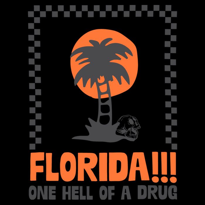 Florida One Hell Of A Drug Tortured Poets Ttpd 16 in Basic Backpack