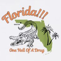 Florida One Hell Of A Drug Funny Summer Beach Cooling Performance Crew T-Shirt