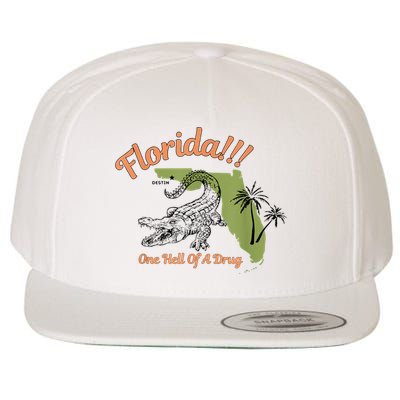 Florida One Hell Of A Drug Funny Summer Beach Wool Snapback Cap