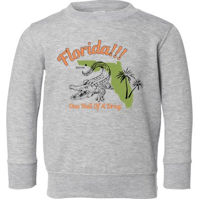 Florida One Hell Of A Drug Funny Summer Beach Toddler Sweatshirt