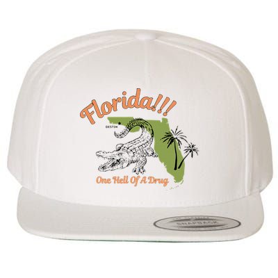 Florida One Hell Of A Drug Funny Summer Beach Wool Snapback Cap