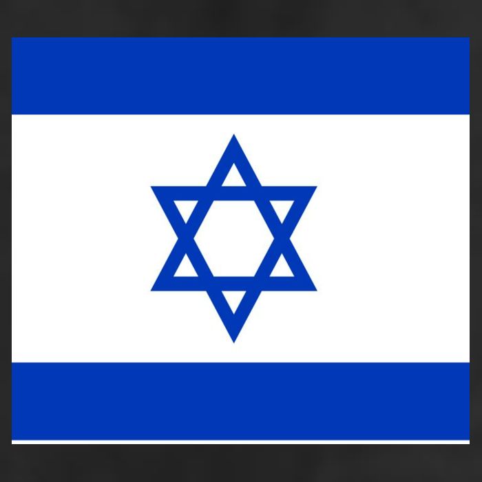 Flag of Israel Adult Drive Performance Visor