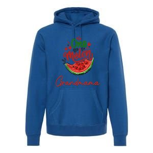 Funny One In A Melon Grandmama Matching Group Great Gift Premium Hoodie