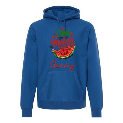 Funny One In A Melon Gammy Matching Group Gift Premium Hoodie