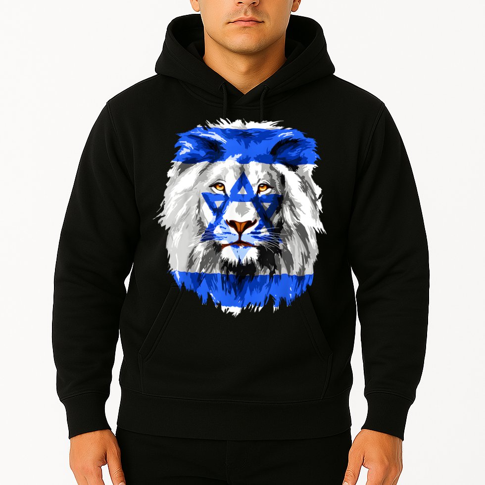Flag Of Israel Lion Jewish Israel Flag Hoodie