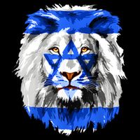 Flag Of Israel Lion Jewish Israel Flag 16 in Basic Backpack