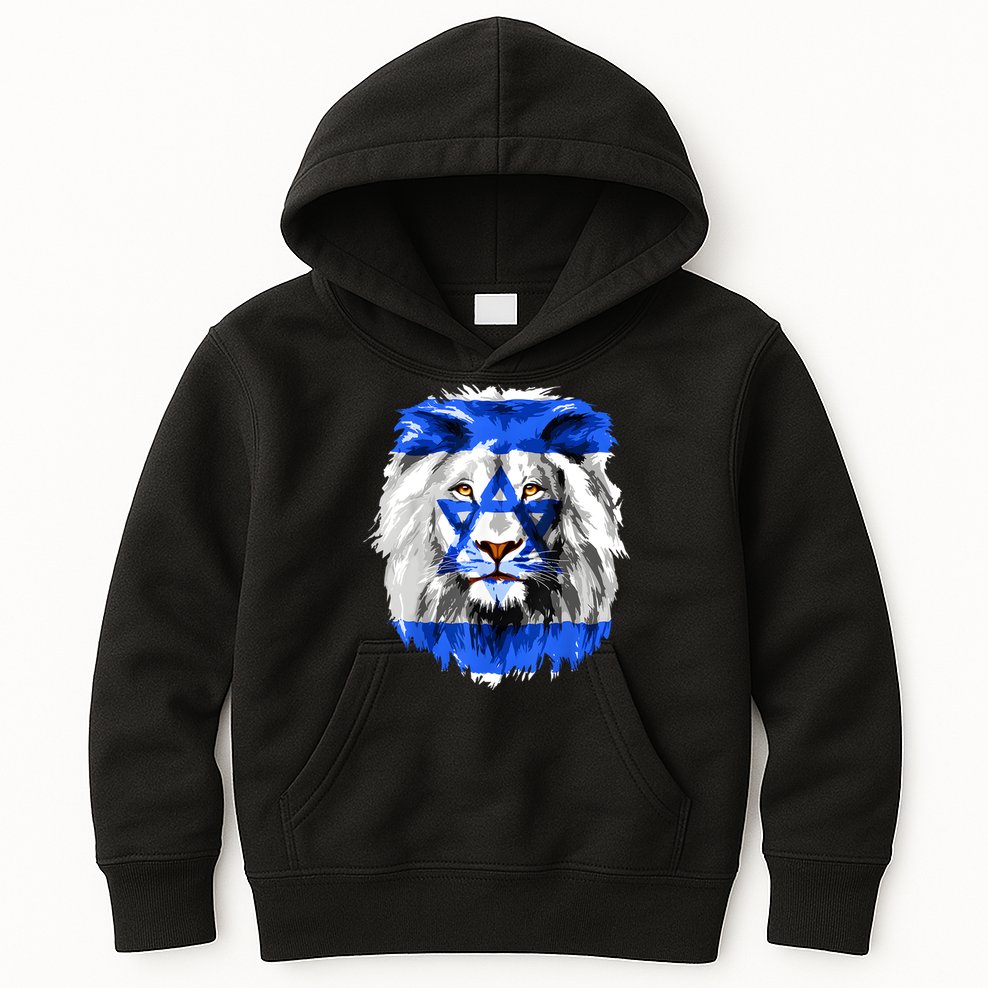 Flag Of Israel Lion Jewish Israel Flag Kids Hoodie