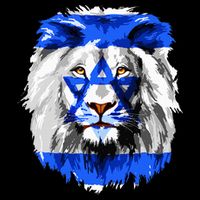 Flag of Israel lion Jewish Israel Flag T-Shirt