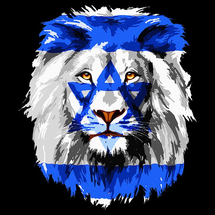 Flag of Israel lion Jewish Israel Flag T-Shirt