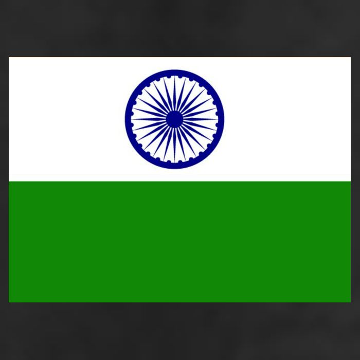 Flag of India Adult Drive Performance Visor
