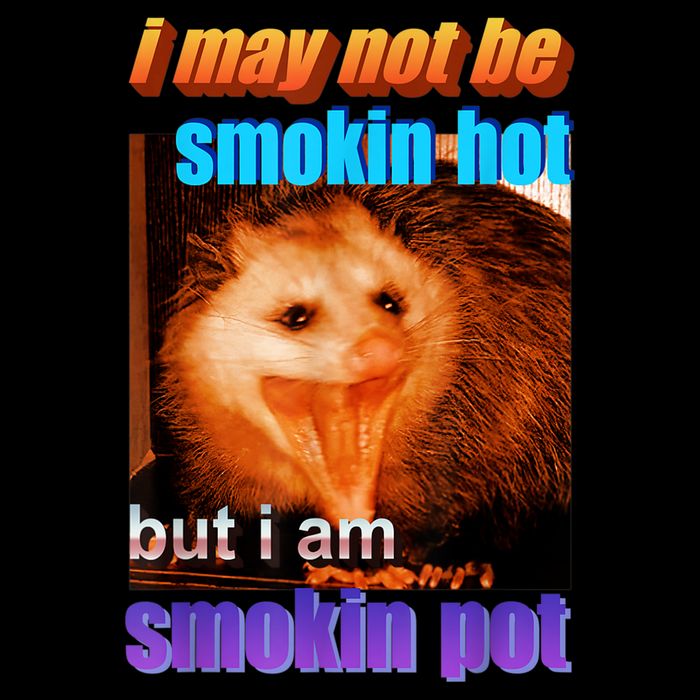 Funny Opossum I May Not Be Smoking Hot But I'm Smoking Pot 7-Panel Snapback Hat