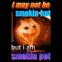 Funny Opossum I May Not Be Smoking Hot But I'm Smoking Pot 16 in Basic Backpack