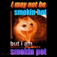Funny Opossum I May Not Be Smoking Hot But I'm Smoking Pot Bag