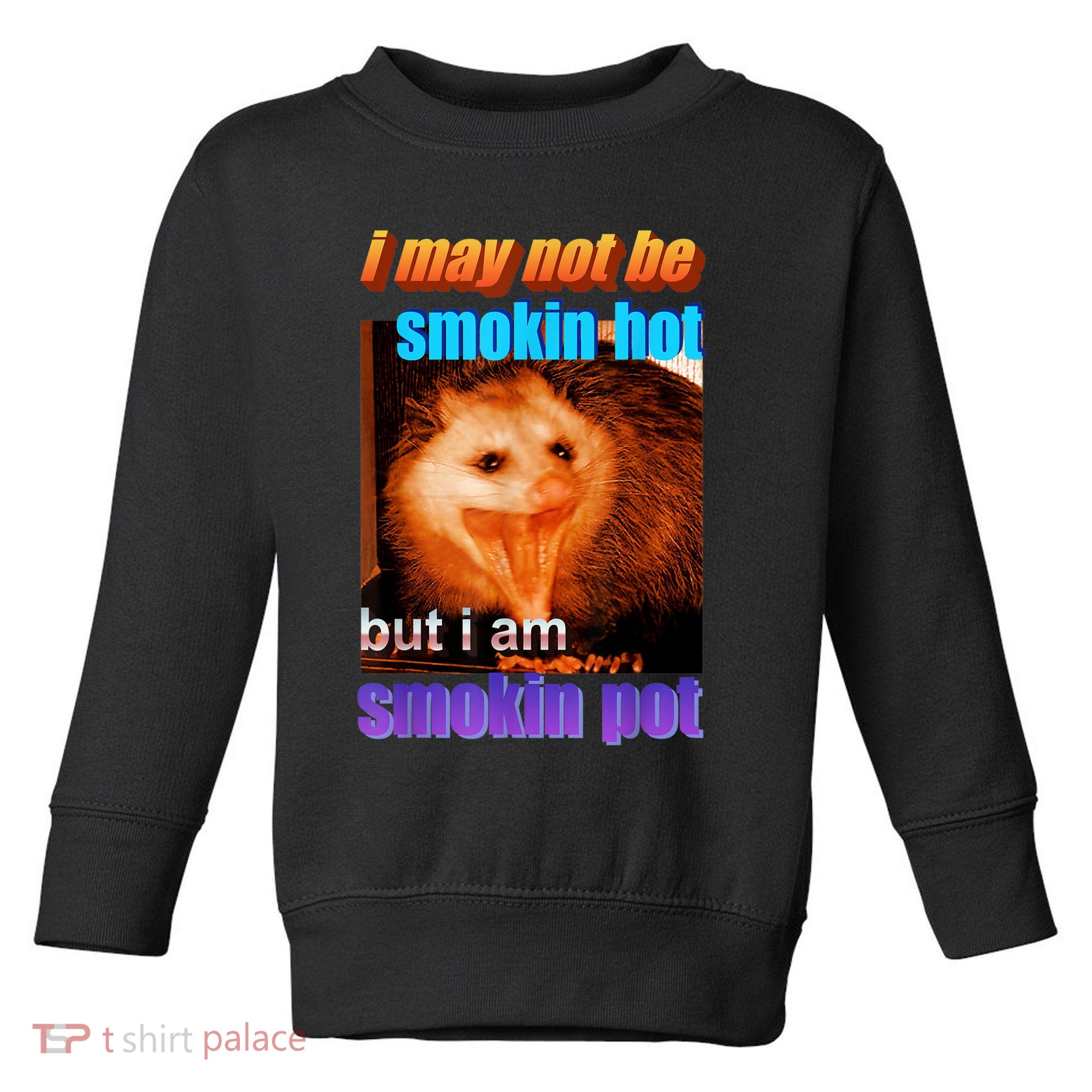 Funny Opossum I May Not Be Smoking Hot But I'm Smoking Pot Toddler Sweatshirt