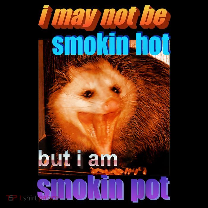 Funny Opossum I May Not Be Smoking Hot But I'm Smoking Pot Visor
