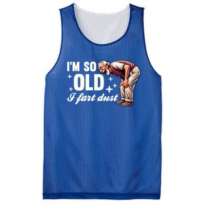 Funny Old IM So Old I Fart Dust Retired Gag Design Gift Mesh Reversible Basketball Jersey Tank