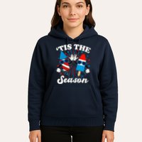 Fourth Of July Red White And Blue Tis The Season Fireworks And Popsicles Hoodie