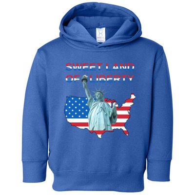 Fourth Of July Sweet Land Of Liberty Patriotic Usa Flag Gift Toddler Hoodie