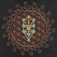 Flower Of Life Tree Of Life Sacred Geometry Kabbalah Gift 11oz C Handle Ceramic Mug