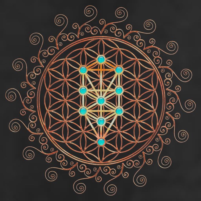 Flower Of Life Tree Of Life Sacred Geometry Kabbalah Gift 11oz C Handle Ceramic Mug