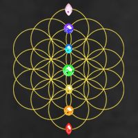 Flower Of Life 7 Chakras Sacred Geometry Yoga Meditation Hoodie Tumbler