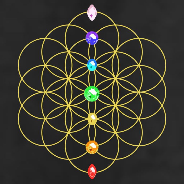 Flower Of Life 7 Chakras Sacred Geometry Yoga Meditation Hoodie Tumbler