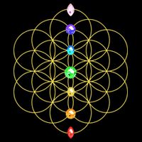 Flower Of Life 7 Chakras Sacred Geometry Yoga Meditation Hoodie Poster