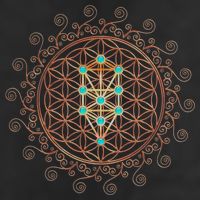 Flower Of Life Tree Of Life Sacred Geometry Kabbalah Funny Gift 7 Panel Mesh Trucker Snapback Hat