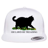 Funny Oh Lawd He Treading Meme Dont Tread On Me Flatbill Hat