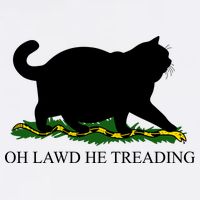 Funny Oh Lawd He Treading Meme Dont Tread On Me Flatbill Hat