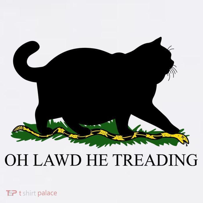 Funny Oh Lawd He Treading Meme Dont Tread On Me Premium T-Shirt