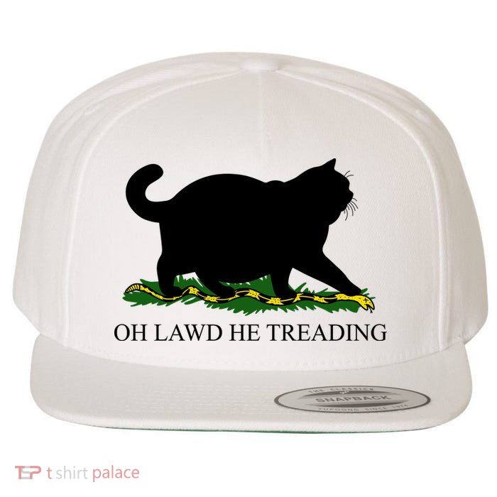 Funny Oh Lawd He Treading Meme Dont Tread On Me Wool Snapback Cap