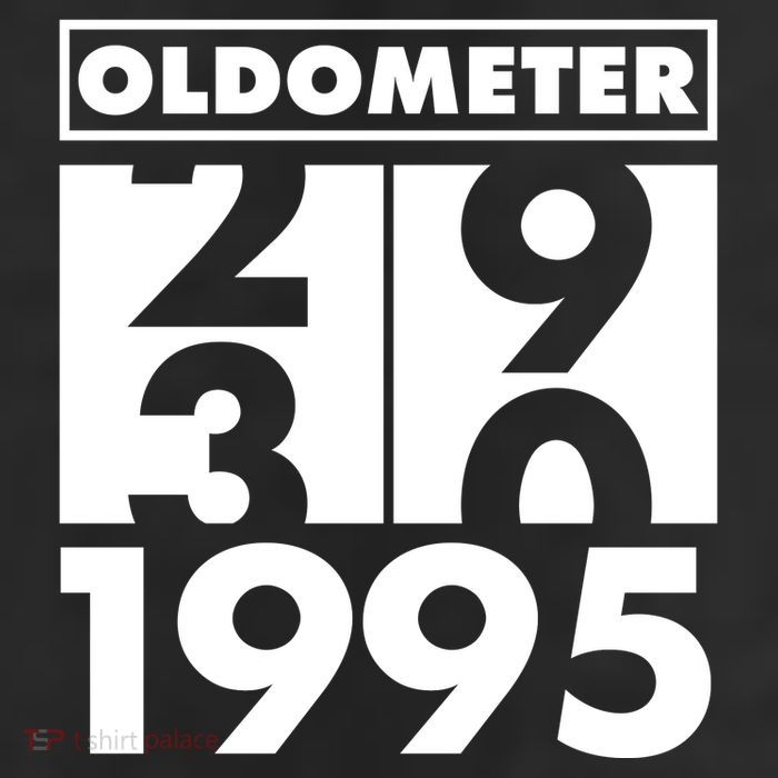 Funny Oldometer Made In 1995 30th Birthday 11oz C Handle Ceramic Mug
