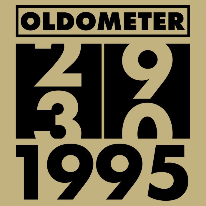 Funny Oldometer Made In 1995 30th Birthday Magnet