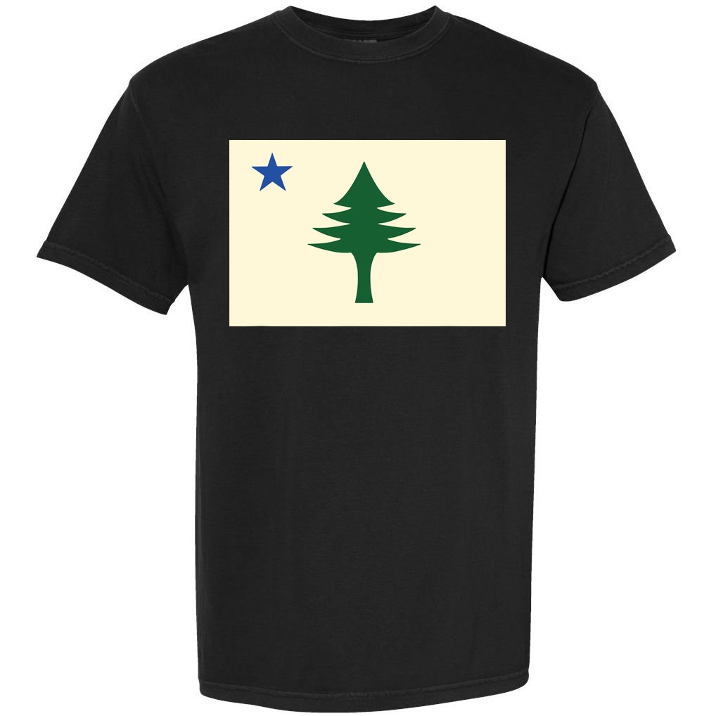 Flag Of Maine 1901 Maine State Flag Pine Tree State Comfort Colors T-Shirt