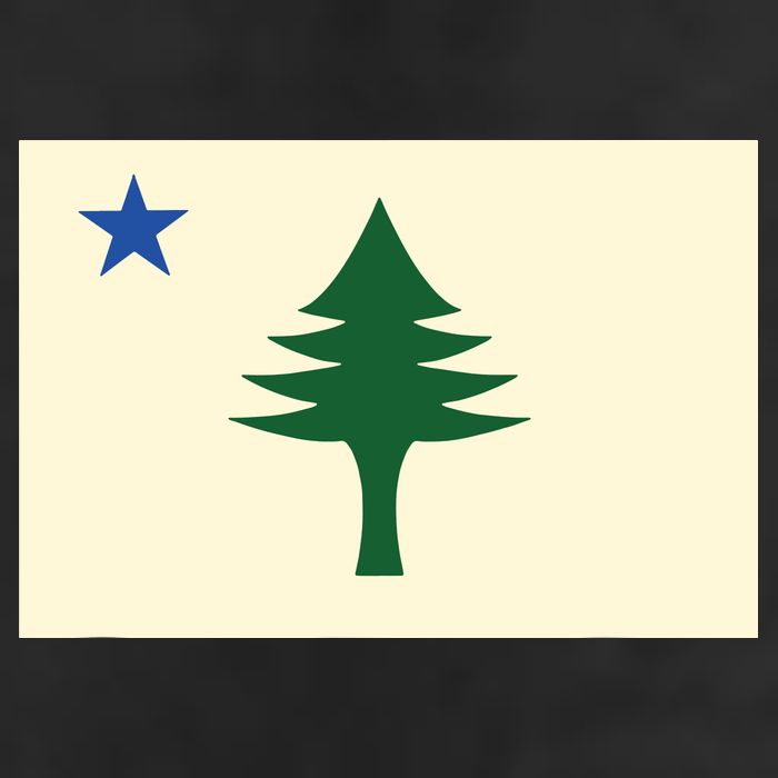 Flag Of Maine 1901 Maine State Flag Pine Tree State 15oz Campfire Ceramic Mug