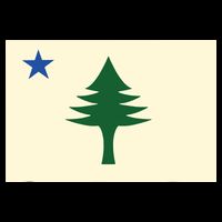 Flag Of Maine 1901 Maine State Flag Pine Tree State Kids T-Shirt
