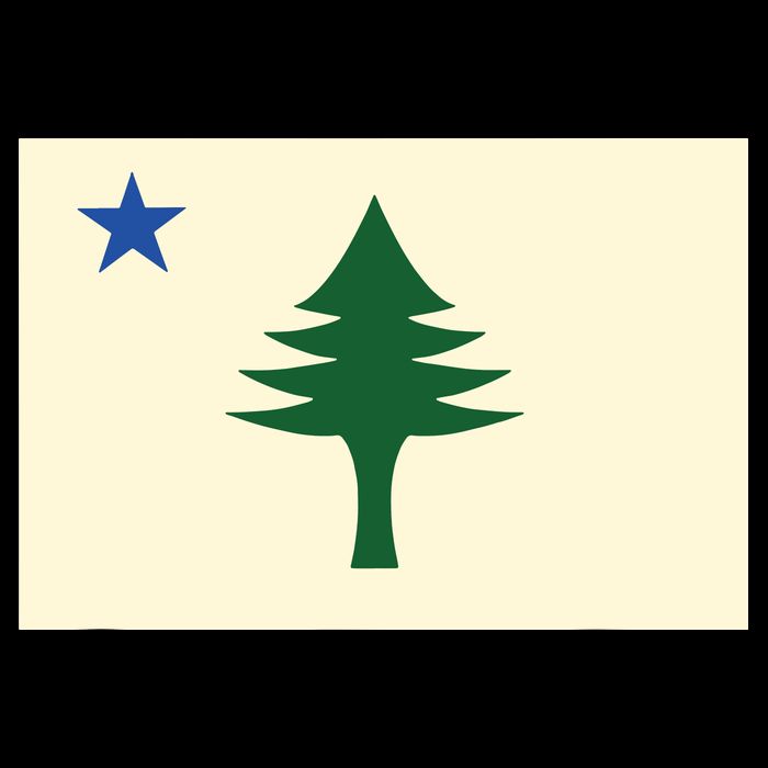 Flag Of Maine 1901 Maine State Flag Pine Tree State Kids T-Shirt