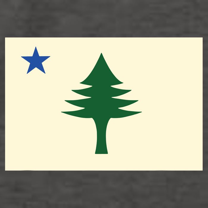 Flag Of Maine 1901 Maine State Flag Pine Tree State Vector Backpack