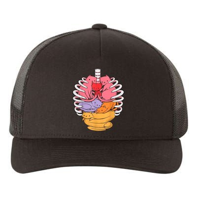 Funny Organs Made Out Of Cats Yupoong Adult 5-Panel Trucker Hat