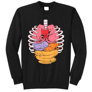 Funny Organs Made Out Of Cats Sweatshirt