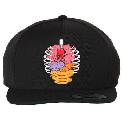 Funny Organs Made Out Of Cats Wool Snapback Cap