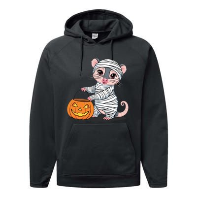 Funny Opossum Mummy Pumpkin Trick Or Treat Halloween Design Performance Fleece Hoodie