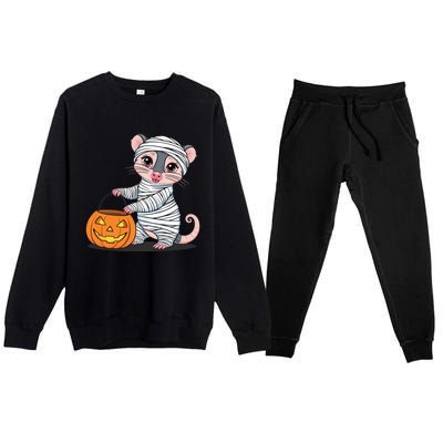 Funny Opossum Mummy Pumpkin Trick Or Treat Halloween Design Premium Crewneck Sweatsuit Set