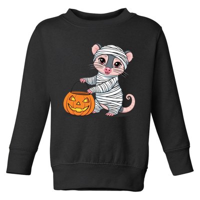 Funny Opossum Mummy Pumpkin Trick Or Treat Halloween Design Toddler Sweatshirt