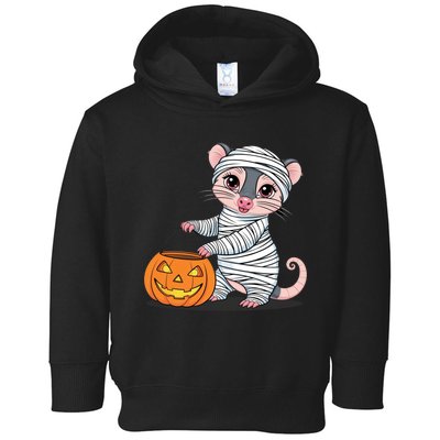 Funny Opossum Mummy Pumpkin Trick Or Treat Halloween Design Toddler Hoodie